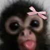 pati_skow