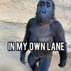 t0ny_2raw