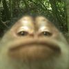 ethancarolan