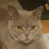 tammy.yy7