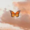 kelly_silva469