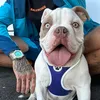 thelifeofsteely