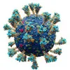 virus_20231