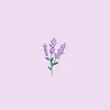 anna.lnrz