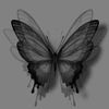 onyxlily