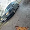 hampusholst