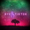 bye.tiktokbye
