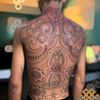 alexanderginda55