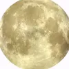 nonsonoalina