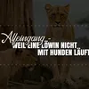 bettinawagner47