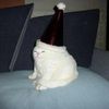 clam_meditation