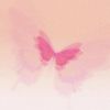 mariposyaaaa