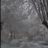 nati_697