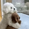catherinedng