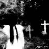 yomom_dotcom