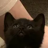 dioratod