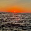 _emily_087