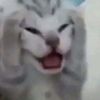 lvrbxey