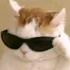 lialyleila
