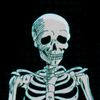 fruitbat_png