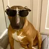 brown.walter