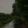 noureldeen_t