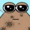 poopfart_42069