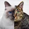 bjarki_and_roberto