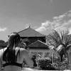 celinaa.mue