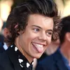 avocadoharold