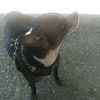angie.idkwid