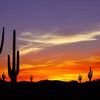 wildwest412