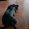 melissa_055555