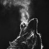 hunterwolfx2