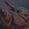 idiotenbenji