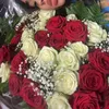nnliia12