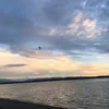 elli.mngr