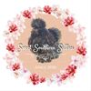 sweetsouthernsilkies