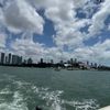 jnktrades