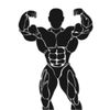 mm_fit