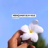 mariadelourdes193