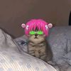 sumeshariku
