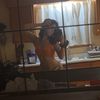izzylasker
