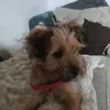 izan_gavi