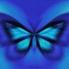 butterfly7cobbler