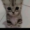 izzerz_