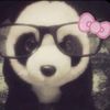 faave_pookie_