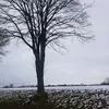 kochany_bogdan62
