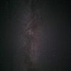 mamabear_oo7