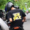 musangsss